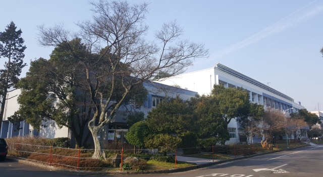 Korea2